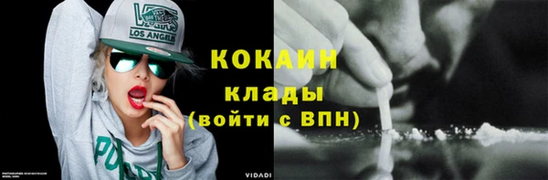 PSILOCYBIN Аркадак