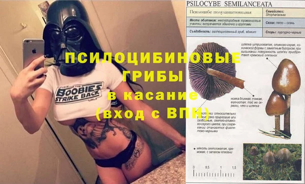 герыч Арсеньев