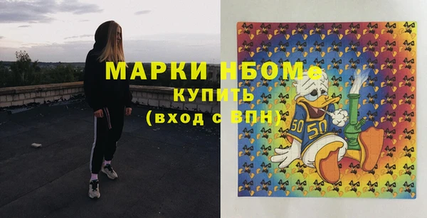 PSILOCYBIN Аркадак