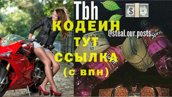 PSILOCYBIN Аркадак