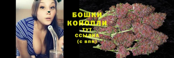 PSILOCYBIN Аркадак