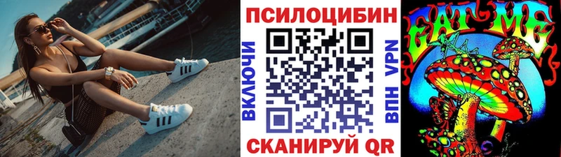 Купить закладки Верхняя Тура Галлюциногенные грибы Psilocybe